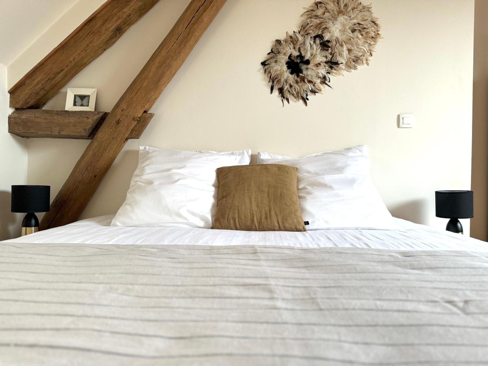 Le Moulin D Olivet Bed & Breakfast Orbigny Eksteriør bilde