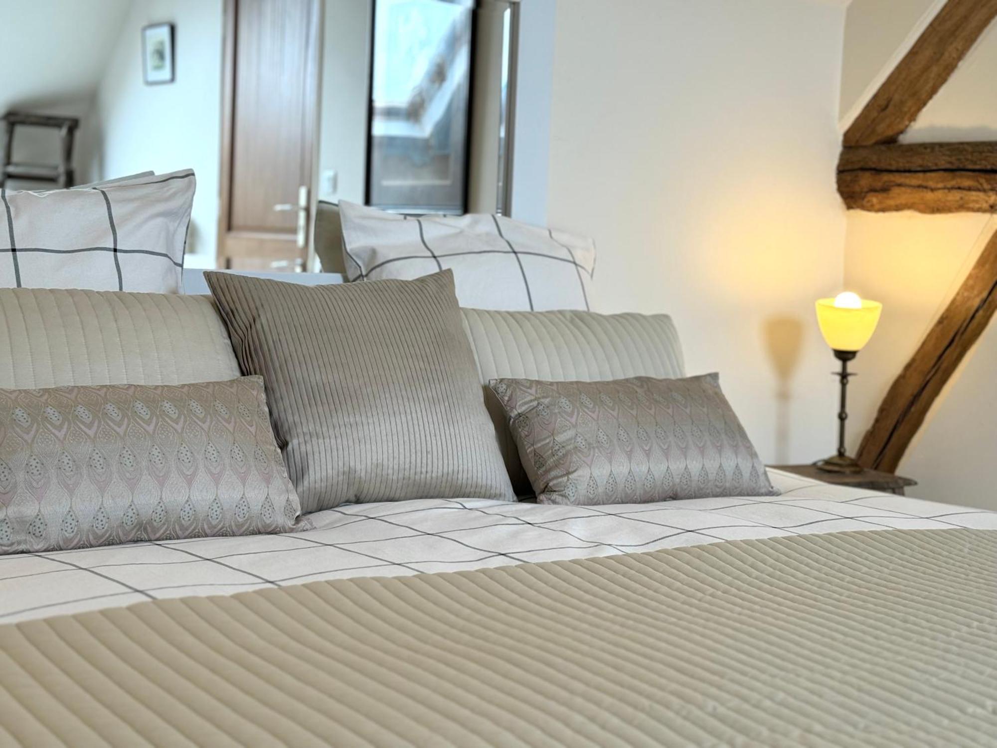Le Moulin D Olivet Bed & Breakfast Orbigny Eksteriør bilde