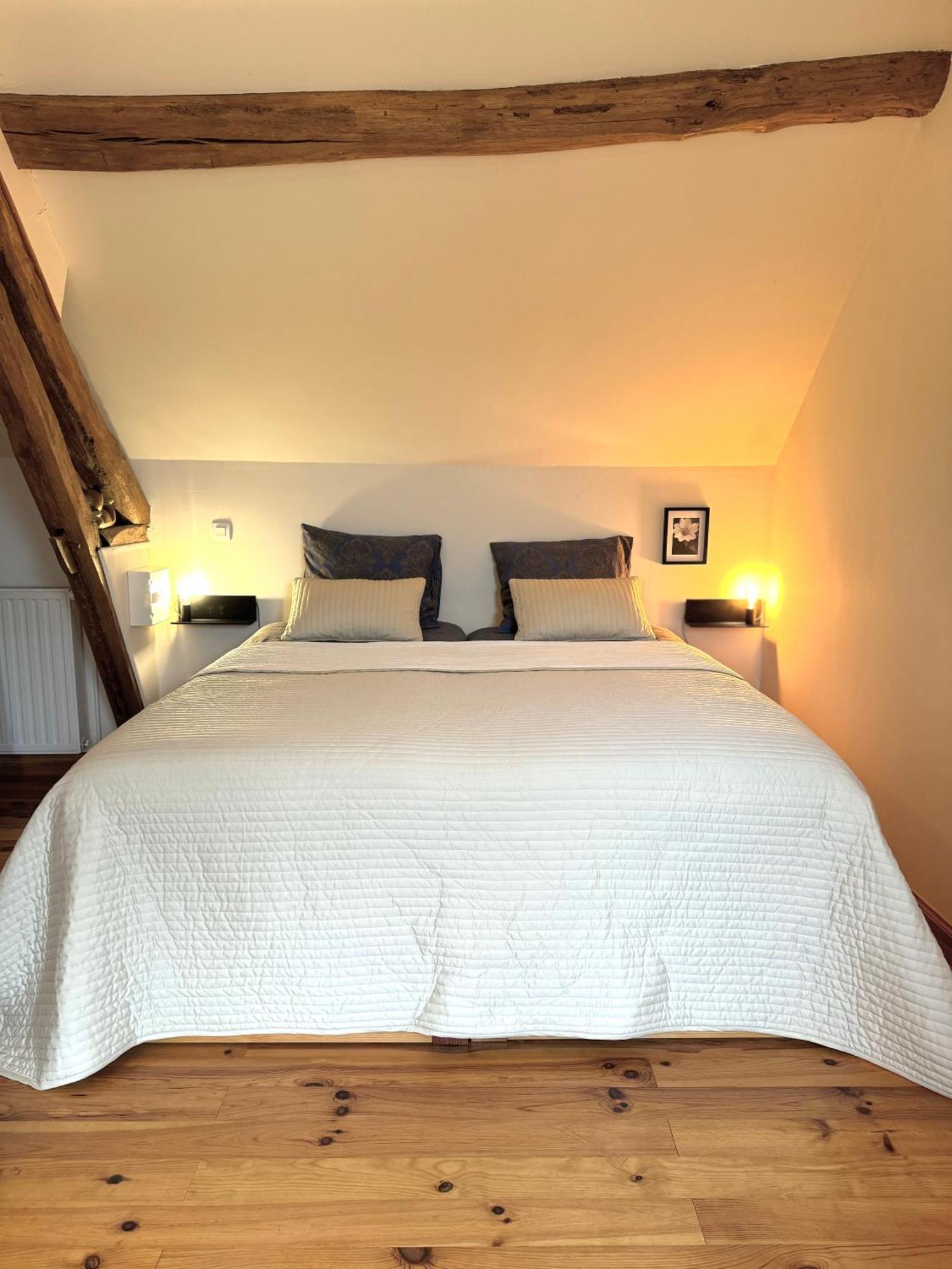 Le Moulin D Olivet Bed & Breakfast Orbigny Eksteriør bilde